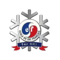 1er ski adulte ski alpin